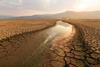 Zest for climate investing down as US investors drop out – survey