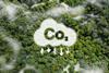 CO2 reduction