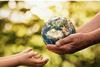 Investors call on Rishi Sunak to not backtrack on climate change