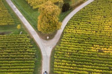 Inflation Hits a Fork in the Road