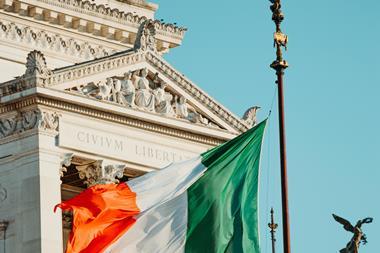 Ireland flag parliament